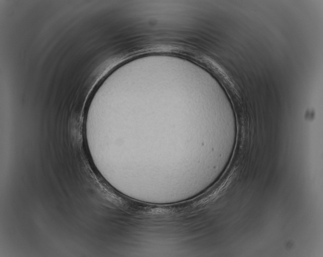 X0000096981178200803071022