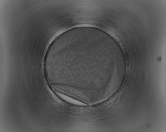 X0000096981181200803071022