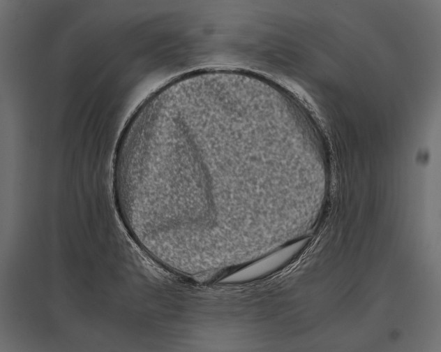 X0000096981183200803071022