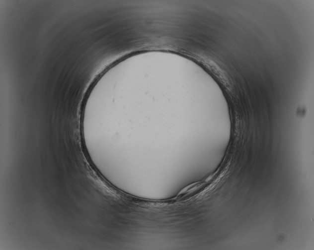 X0000096981184200803071022