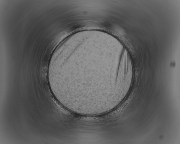 X0000096981185200803071022