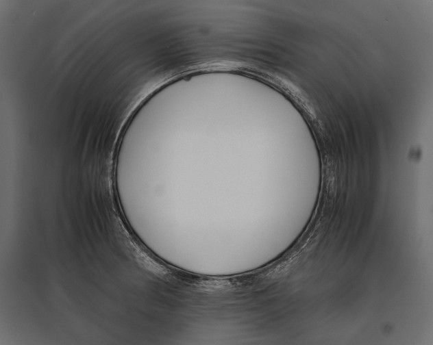 X0000096981186200803071022