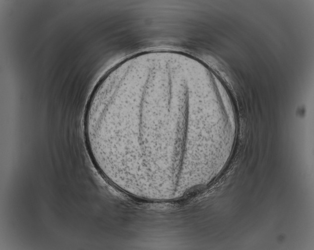 X0000096981189200803071022