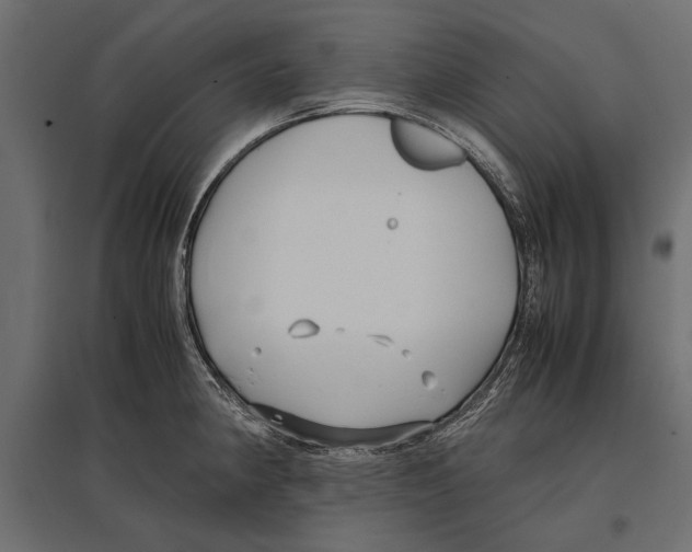 X0000096981190200803071022