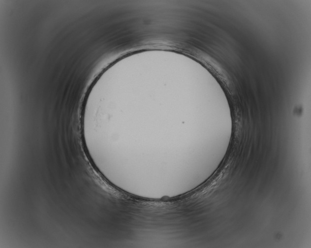 X0000096981192200803071022