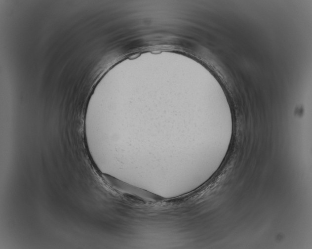 X0000096981193200803071022