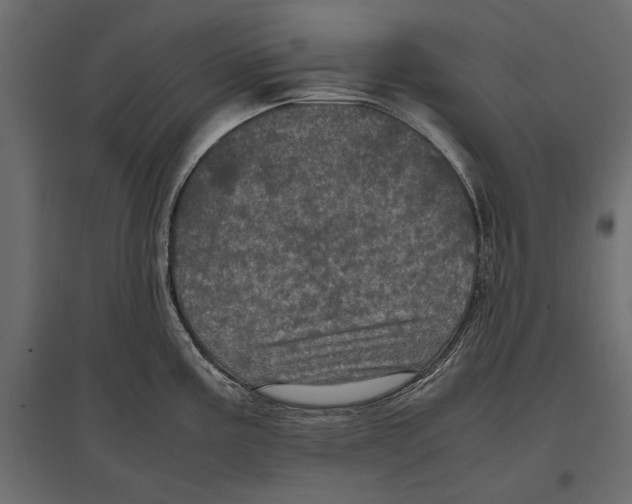 X0000096981195200803071022