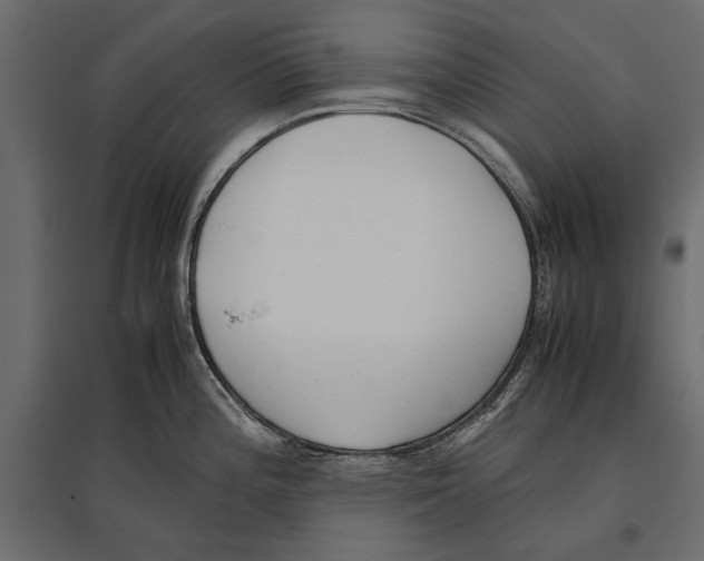 X0000096981196200803071022