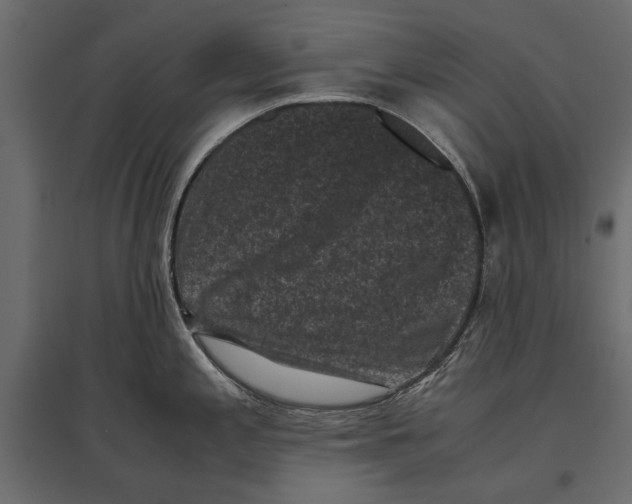 X0000096981197200803071022