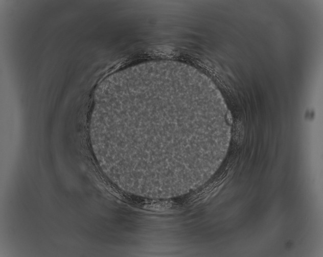 X0000096981201200803071021