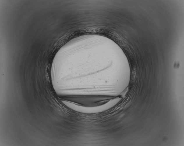 X0000096981202200803071021