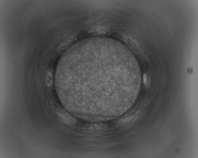 X0000096981203200803071021