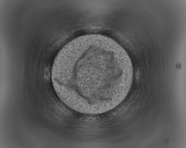 X0000096981204200803071021