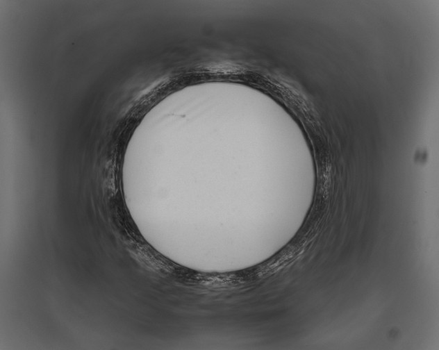 X0000096981205200803071021