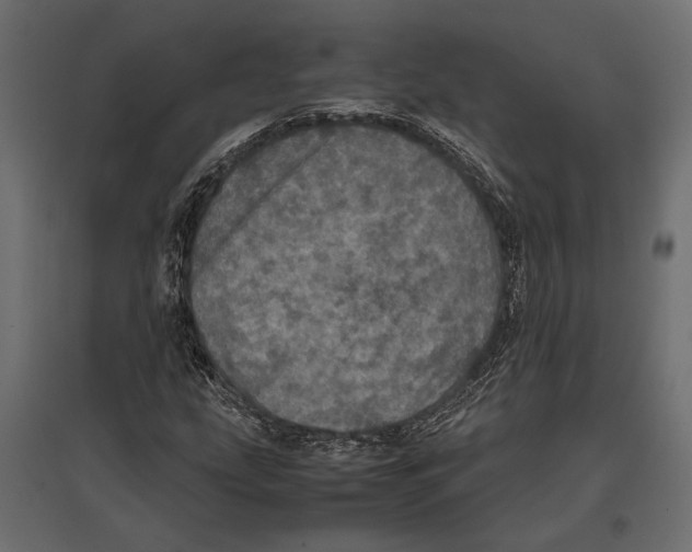 X0000096981207200803071021