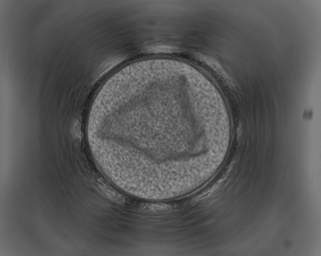 X0000096981209200803071021