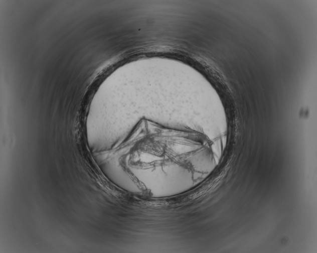 X0000096981210200803071021