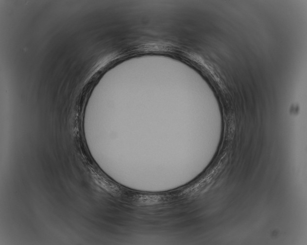 X0000096981211200803071022