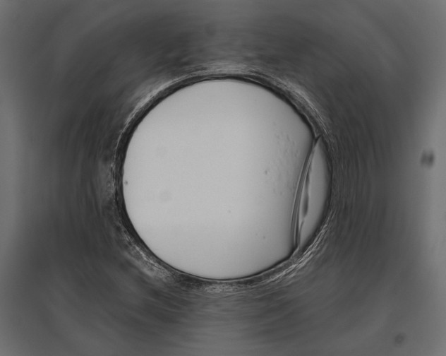 X0000096981212200803071022