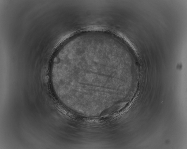 X0000096981213200803071022