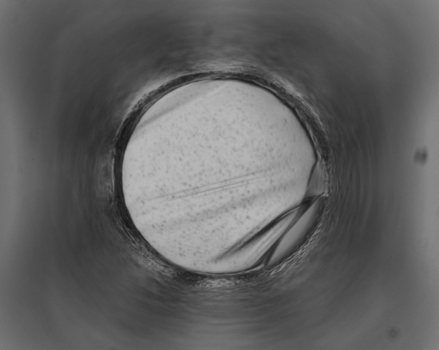 X0000096981214200803071022