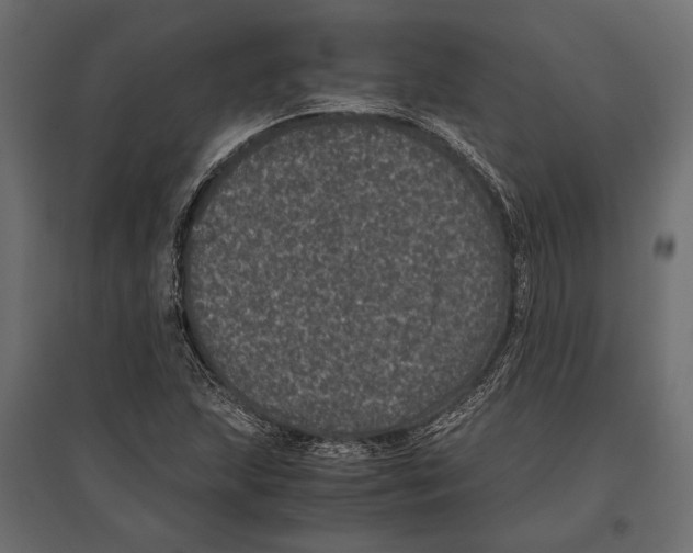 X0000096981215200803071022