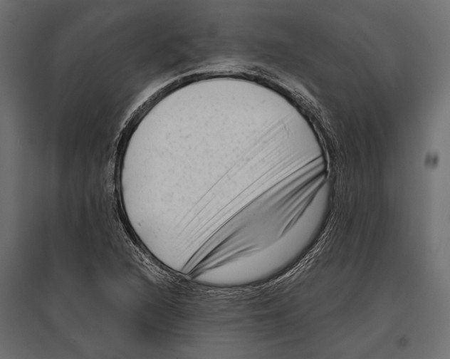 X0000096981216200803071022