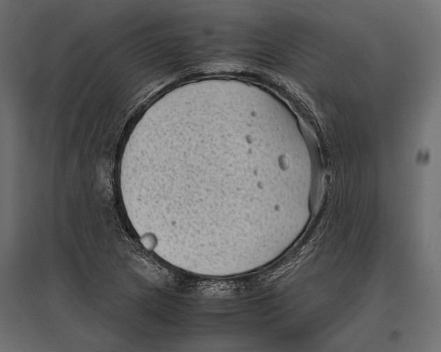 X0000096981217200803071022