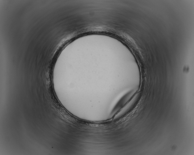 X0000096981218200803071022