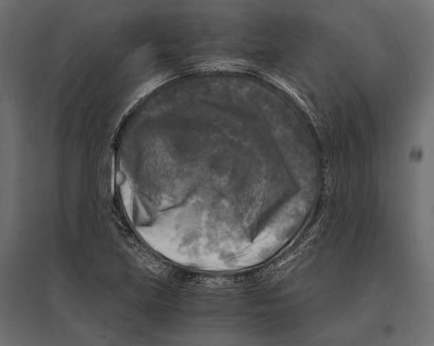 X0000096981219200803071022