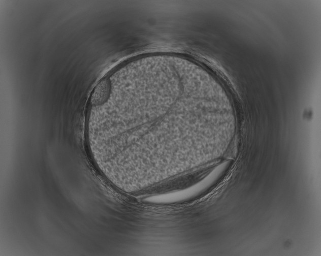 X0000096981220200803071022