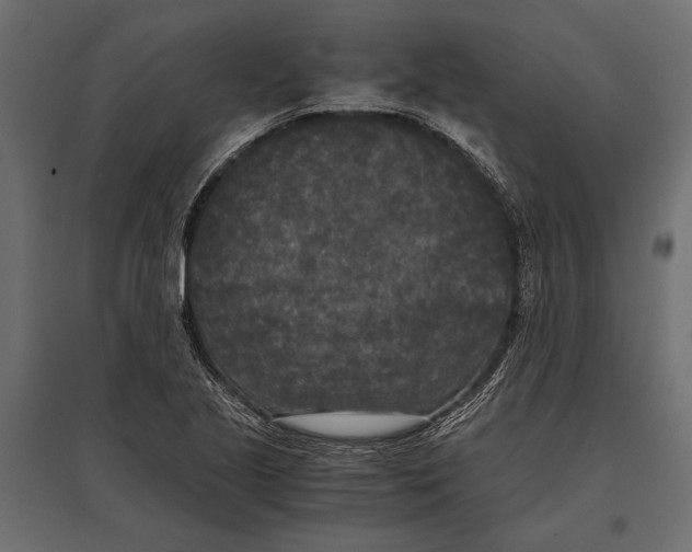 X0000096981221200803071022