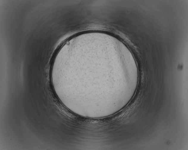 X0000096981222200803071022