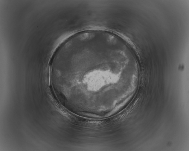 X0000096981223200803071022