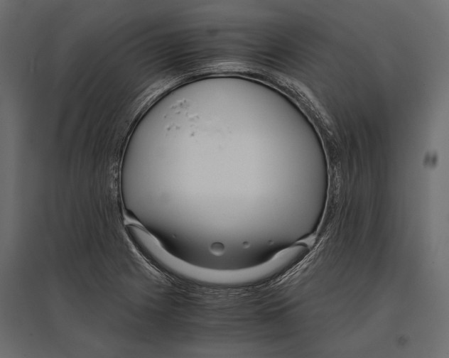 X0000096981225200803071022