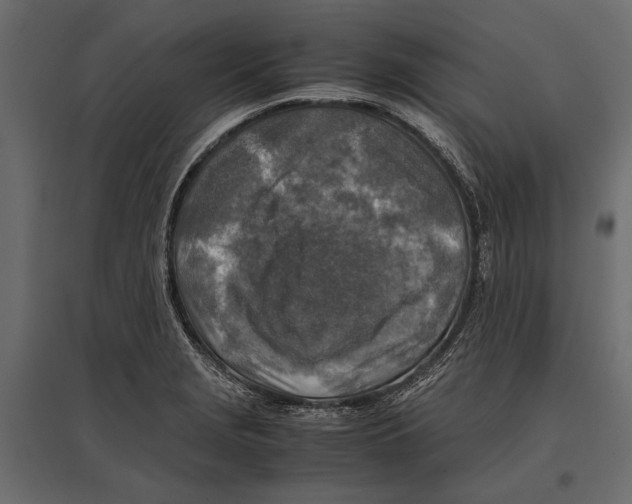 X0000096981229200803071022