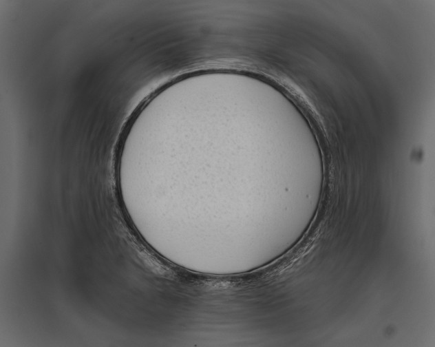 X0000096981230200803071022