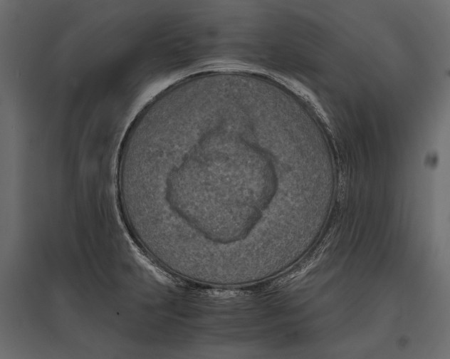 X0000096981231200803071022