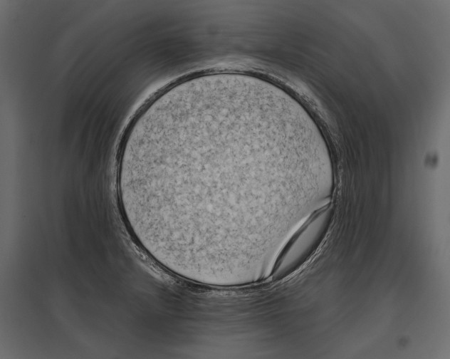 X0000096981232200803071022