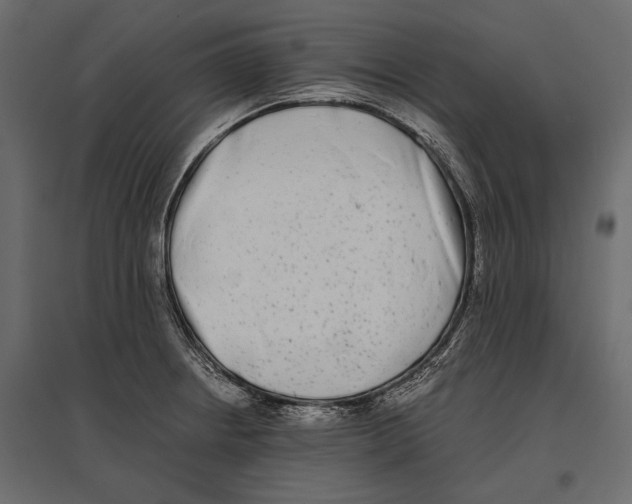 X0000096981234200803071022