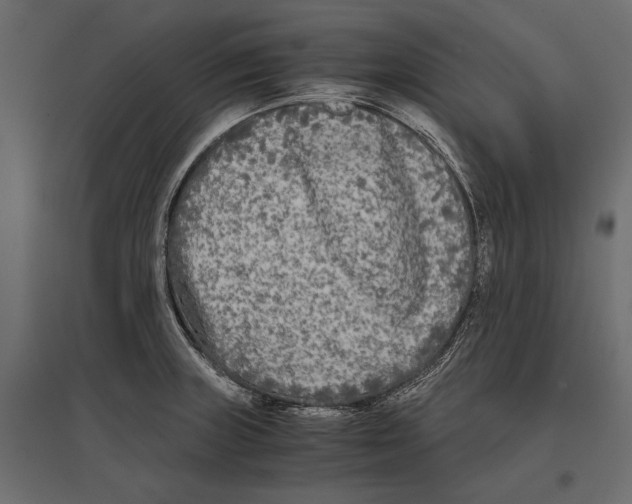 X0000096981235200803071022