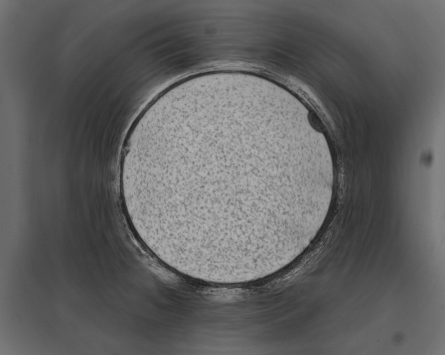 X0000096981236200803071022