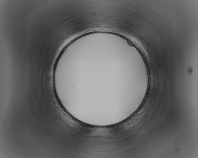 X0000096981238200803071022