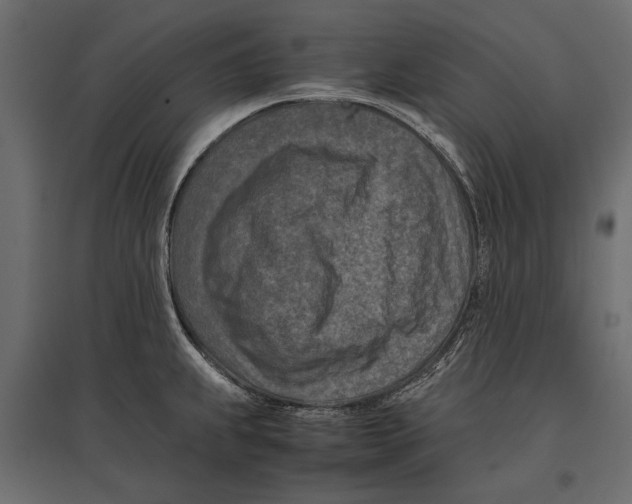 X0000096981239200803071022