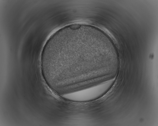 X0000096981240200803071022