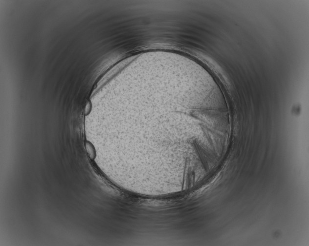 X0000096981241200803071022