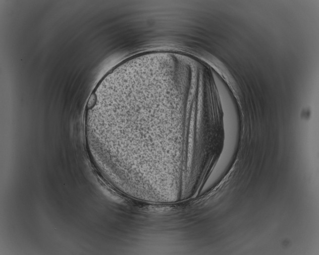 X0000096981242200803071022