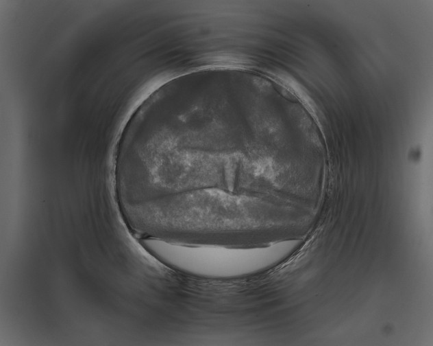 X0000096981243200803071022