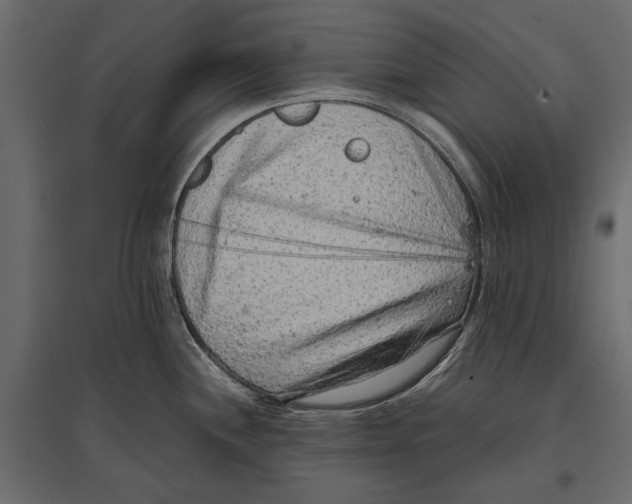 X0000096981244200803071022