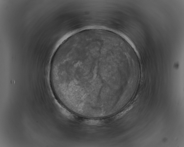 X0000096981245200803071022